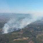 İzmir'in Bergama ilçesinde çıkan orman yangını kontrol altında