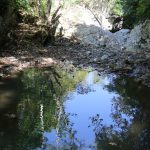 Doğançay Şelalesi