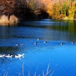 Sakarya Saklı Göl4