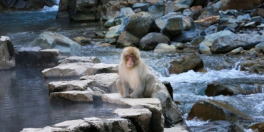 Gazi-Turgay-Olmez-Adi-Kaynarca-Adliyesi8217nde-Olumsuzlesti-featured