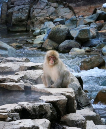 Gazi-Turgay-Olmez-Adi-Kaynarca-Adliyesi8217nde-Olumsuzlesti-featured