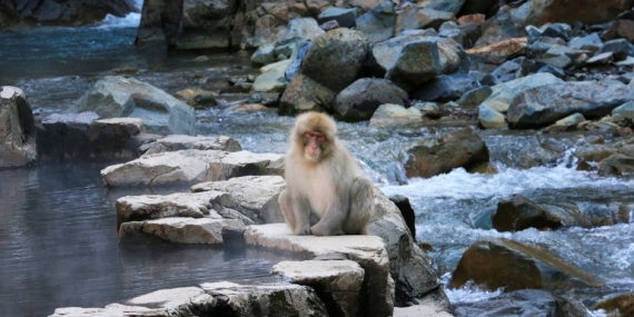 Gazi-Turgay-Olmez-Adi-Kaynarca-Adliyesi8217nde-Olumsuzlesti-featured