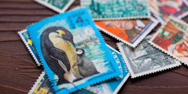 Nihilist-Penguen-Anlamsizligin-Kuresel-Sembolu-Nasil-Dogdu-featured